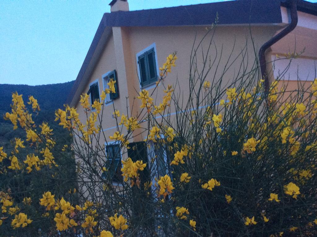 Apartamento Ca Di Giaco Moneglia Exterior foto